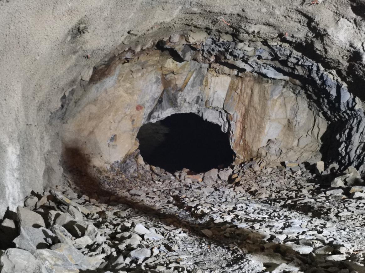 尊龙凯时 - 人生就是搏!