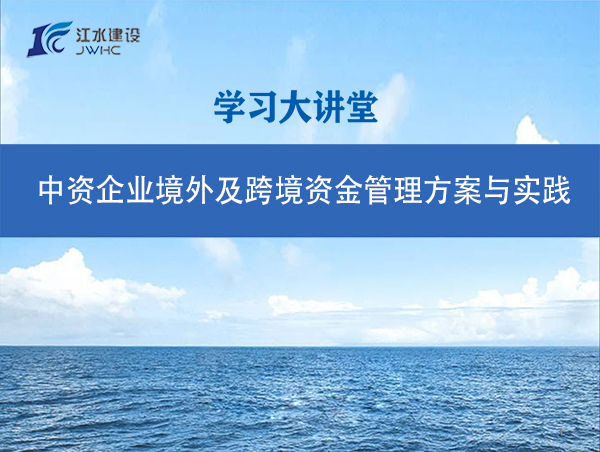 中资企业境外及跨境资金治理计划与实践