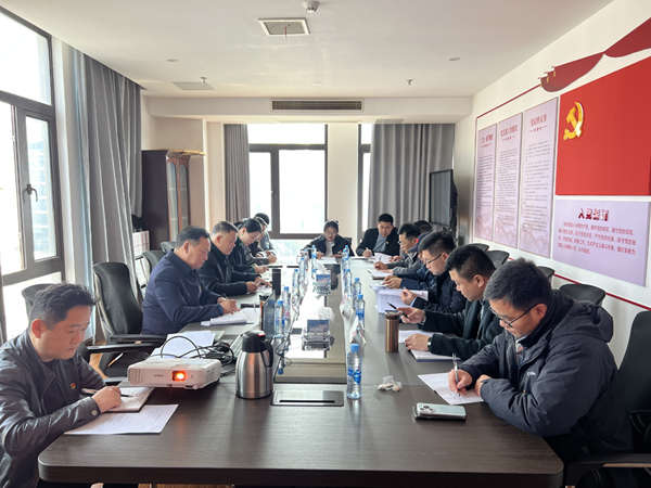 集团党委召开2024年度组织生涯会